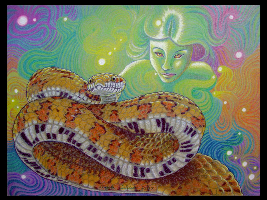reptiles art snake fantasy color pencil