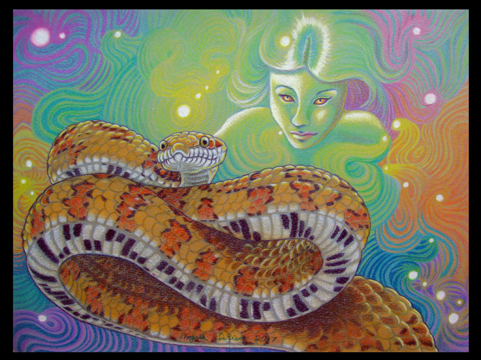 reptiles art snake fantasy color pencil
