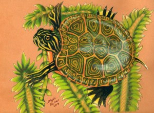 gem-among-water-weeds sml