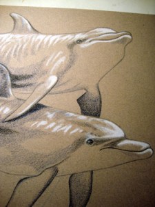 Dolphin Touch progress photo