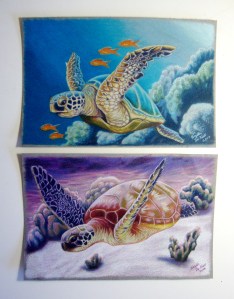 pair seaturtles