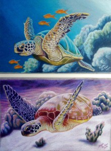 pair seaturtles