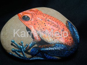 frog rock