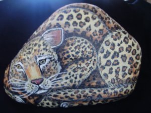 leopard rock