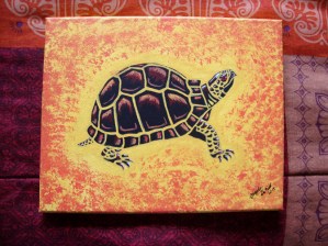 box-turtle1