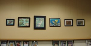 Safety Harbor Library Exhibit