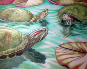Turtle Poker 14" x 17"
