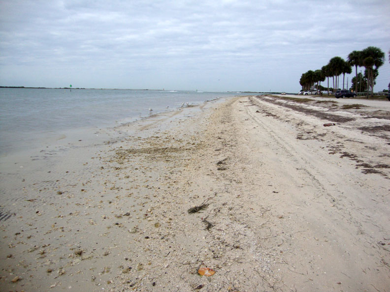 Looking straight down the beach, palm trees in view. 