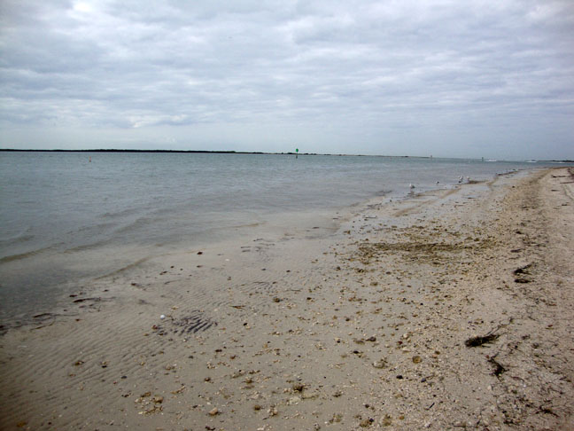 Down toward the very end of the beach is the entrance to Honeymoon Island.