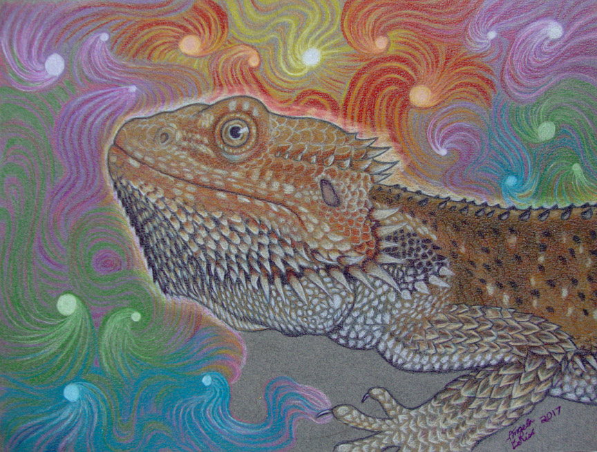 bearded dragon reptiles art fantasy colored pencil