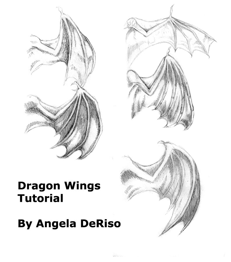 wing poses