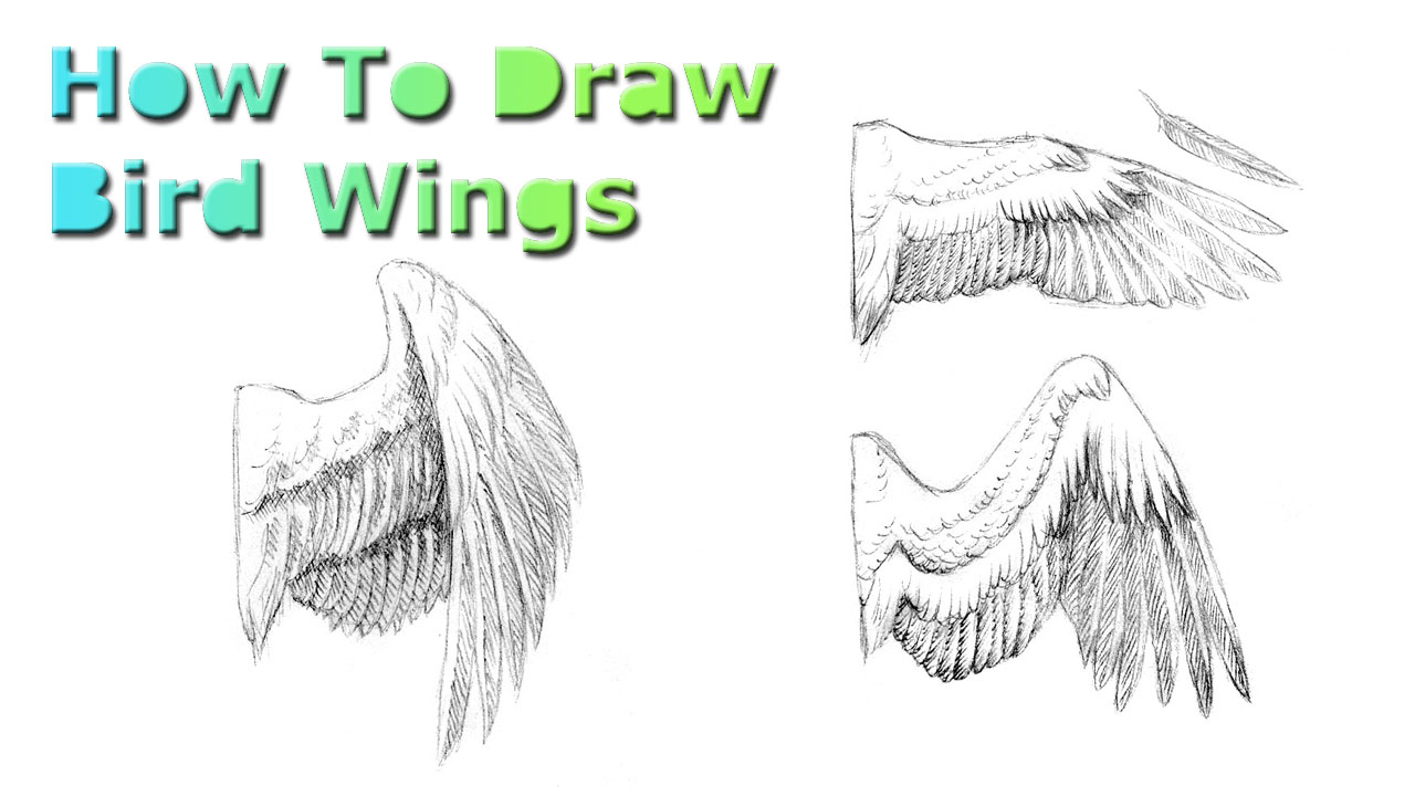 wings-thumb