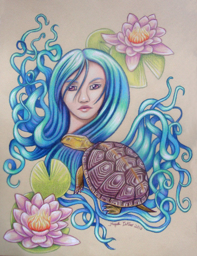 colored pencil drawing sketch turtle reptile